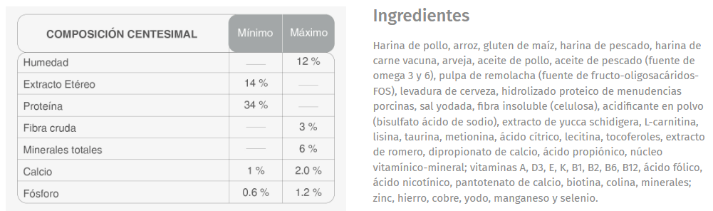 alimento-gato-cachorro